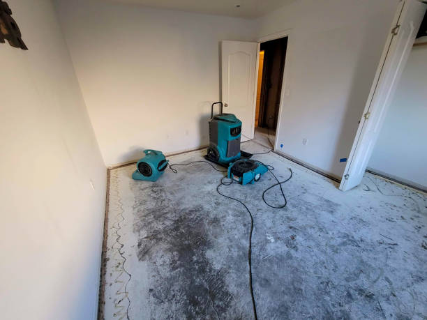 Best 24/7 water damage repair  in North Beach, MD