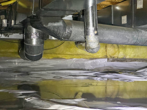 Best Professional water damage repair  in North Beach, MD