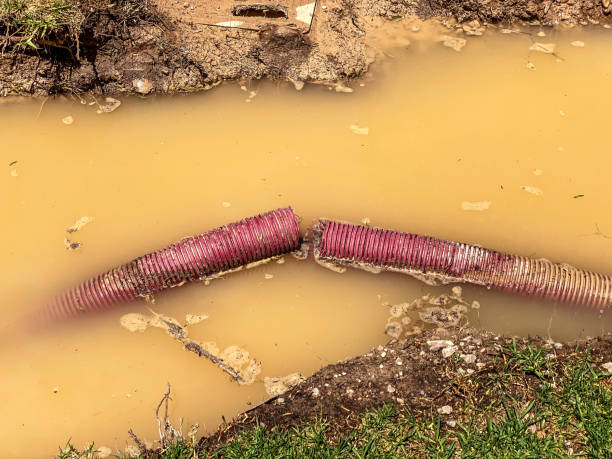 Best Water damage cleanup near me  in North Beach, MD